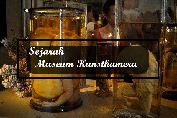 Sejarah Museum Kunstkamera